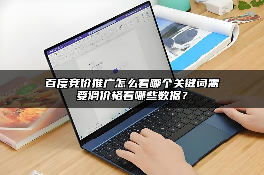 百度竞价推广怎么看哪个关键词需要调价格看哪些数据？