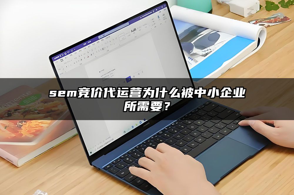 sem竞价代运营为什么被中小企业所需要?