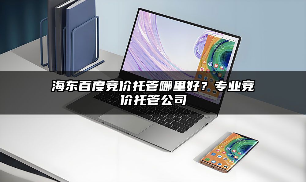 海东百度竞价托管哪里好？专业竞价托管公司