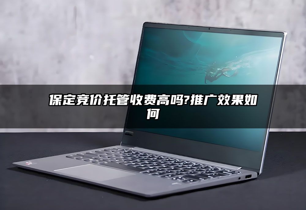 保定竞价托管收费高吗?推广效果如何
