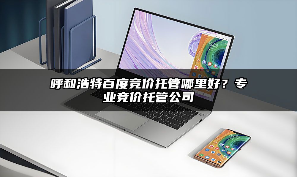 呼和浩特百度竞价托管哪里好？专业竞价托管公司