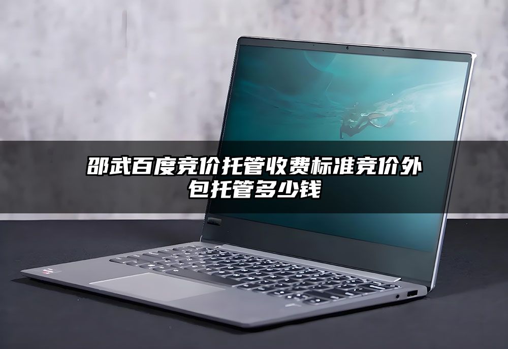 邵武百度竞价托管收费标准竞价外包托管多少钱