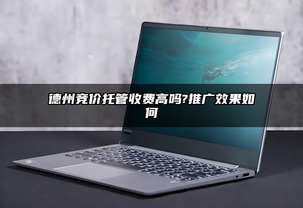 德州竞价托管收费高吗?推广效果如何