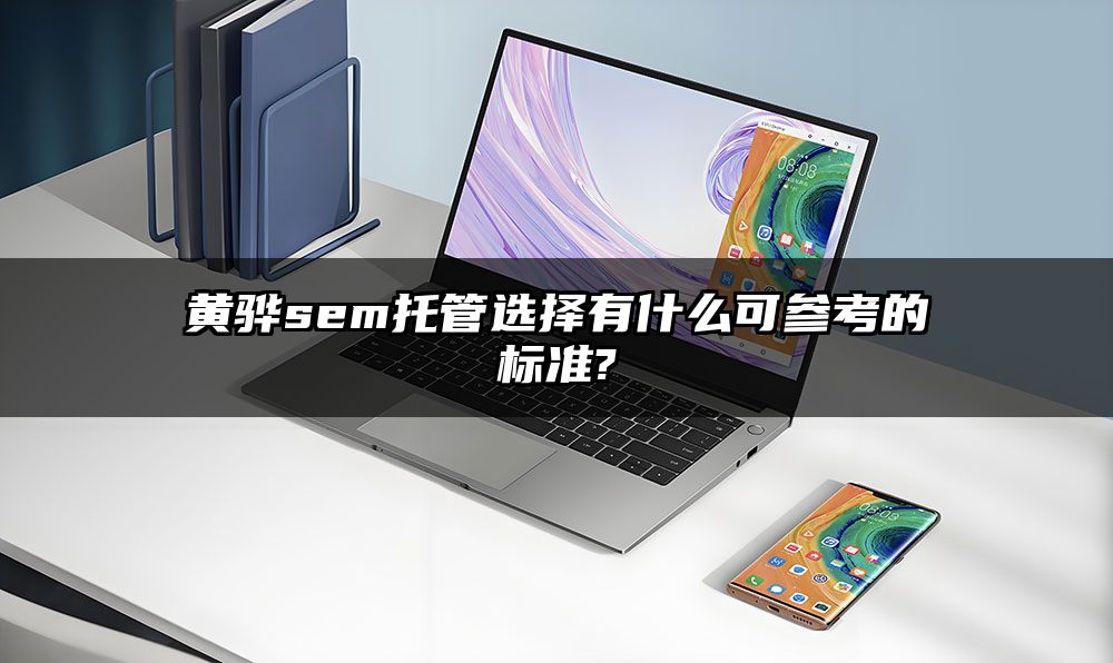 黄骅sem托管选择有什么可参考的标准?