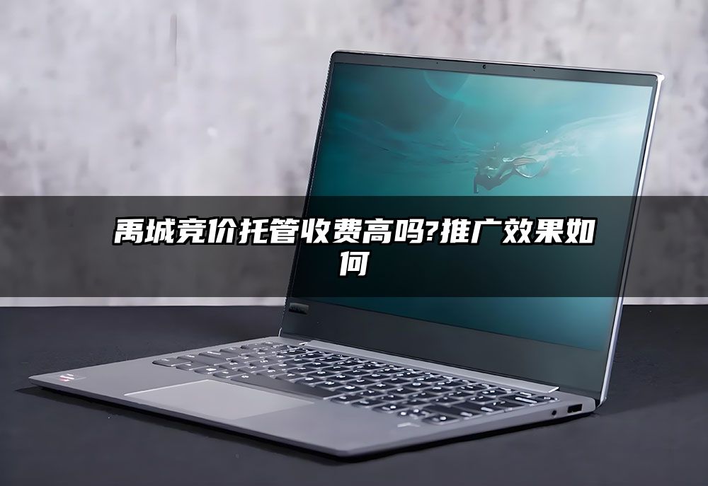 禹城竞价托管收费高吗?推广效果如何