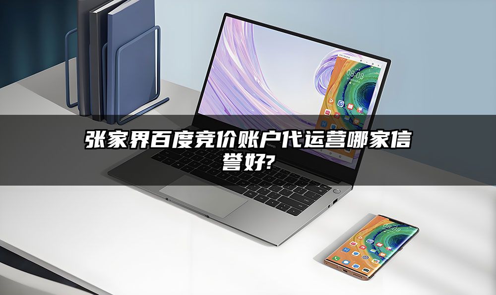 张家界百度竞价账户代运营哪家信誉好?