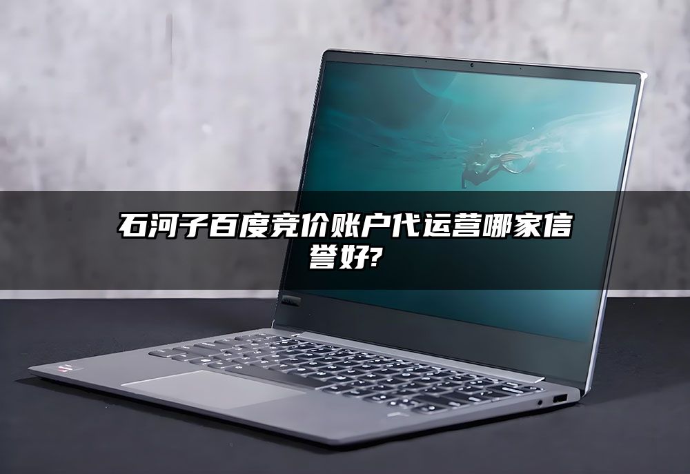 石河子百度竞价账户代运营哪家信誉好?