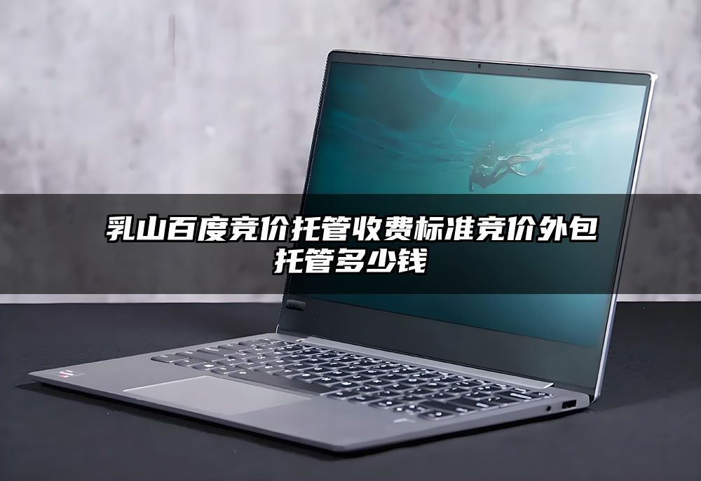乳山百度竞价托管收费标准竞价外包托管多少钱